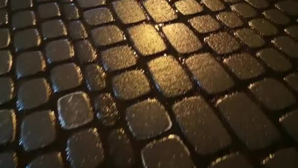 Текстуровані Тротуарні Плити Снігопаді — стокове відео