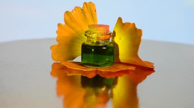 Ginkgo biloba ağacındaki terapi maddesi.