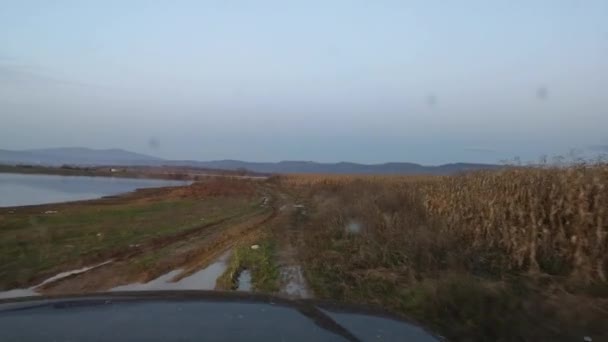 Vus Roule Sur Route Près Lac — Video