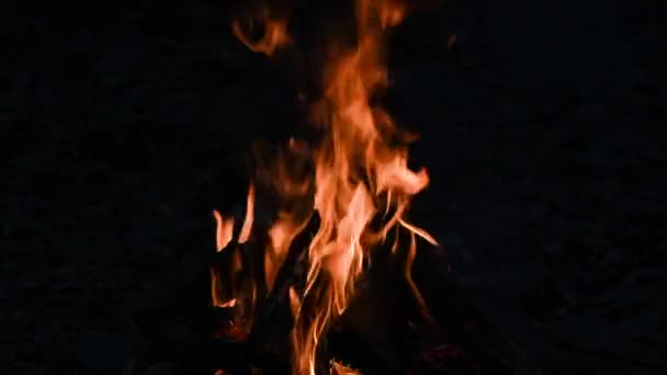 Falò Notturno Presso Fiume Montagna — Video Stock