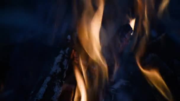 Dağ Nehrinin Yanında Şenlik Ateşi — Stok video
