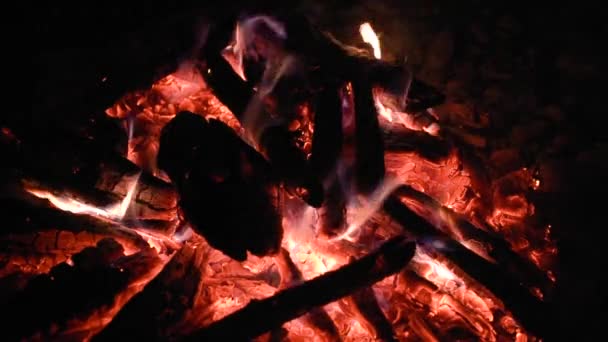 Night Bonfire Mountain River — Stock Video