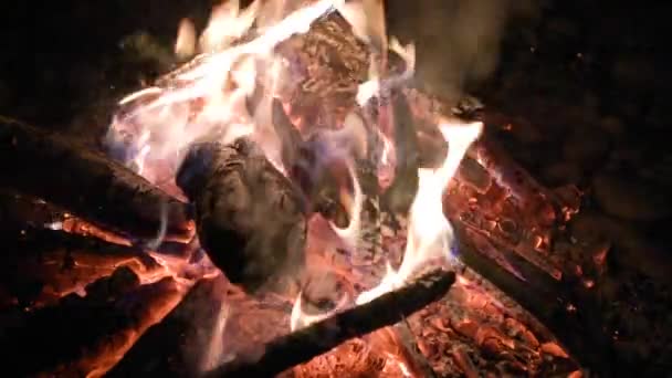 Nachtvreugdevuur Bij Bergrivier — Stockvideo