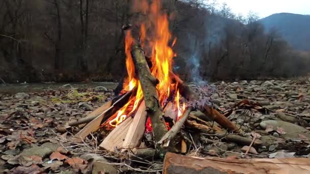 Φωτιά Στο Βουνό Δίπλα Στο Ποτάμι — Αρχείο Βίντεο