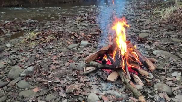 Night Bonfire Mountain River — Stock Video