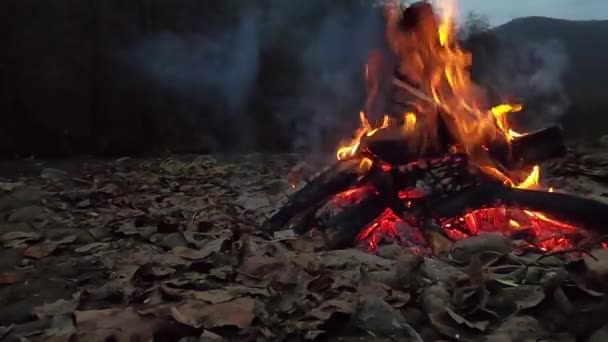 Нічний Вогонь Біля Гірської Річки — стокове відео