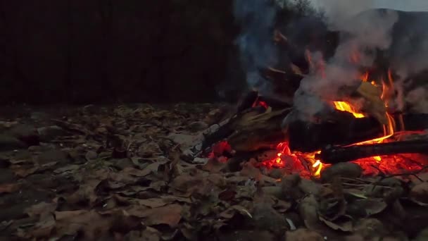 Feu Nuit Près Rivière Montagne — Video