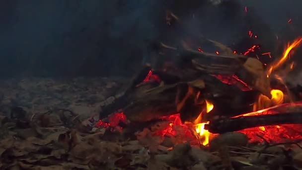 Hoguera Nocturna Junto Río Montaña — Vídeos de Stock