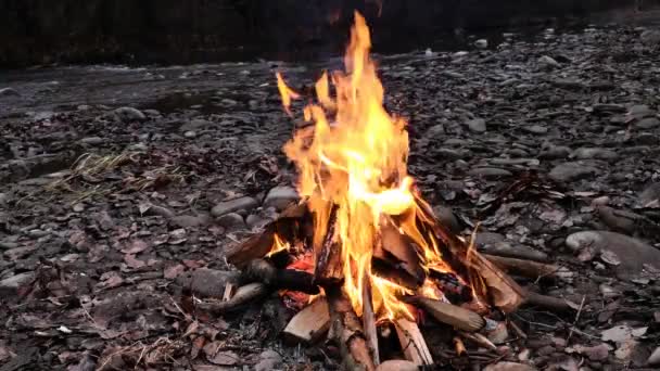 Foc Noapte Lângă Râul Munte — Videoclip de stoc
