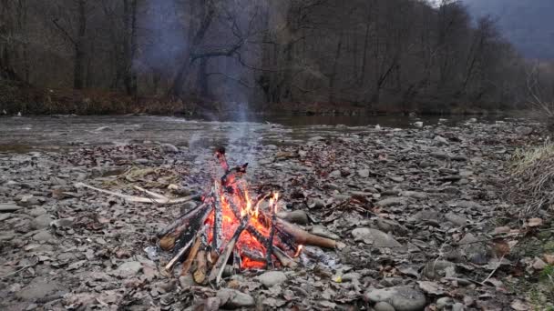 Api Unggun Malam Tepi Sungai Pegunungan — Stok Video