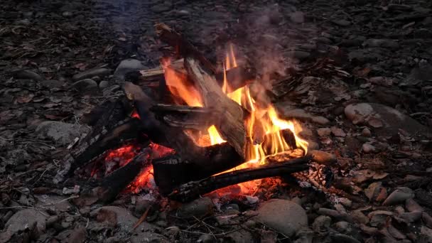 山河边的夜篝火 — 图库视频影像