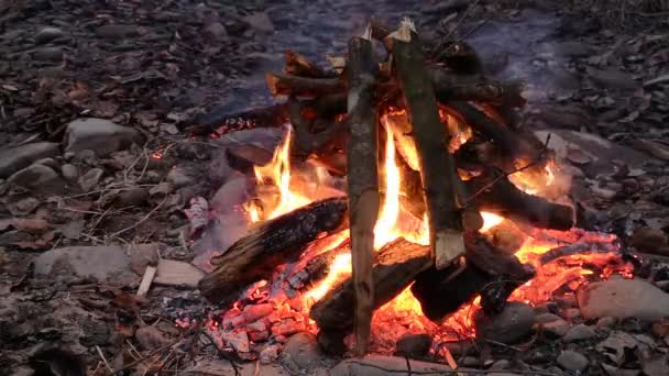 Falò Notturno Presso Fiume Montagna — Video Stock