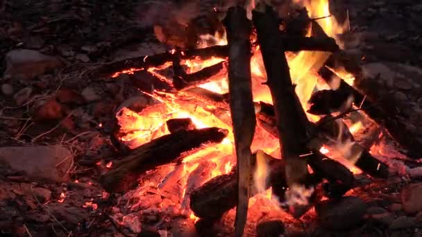 Night Bonfire Mountain River — Stock Video