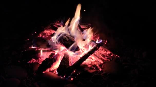 Dağ Nehrinin Yanında Şenlik Ateşi — Stok video