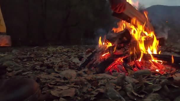 Mann Unterstützt Das Nächtliche Lagerfeuer — Stockvideo