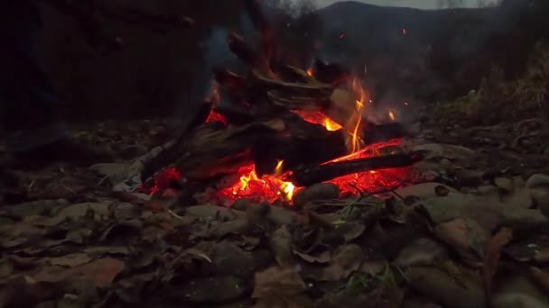 Man Supports Night Bonfire — Stock Video
