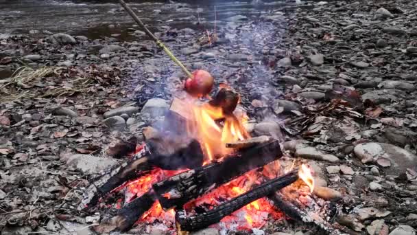 Elma Bir Gece Ateşinde Pişirilir — Stok video