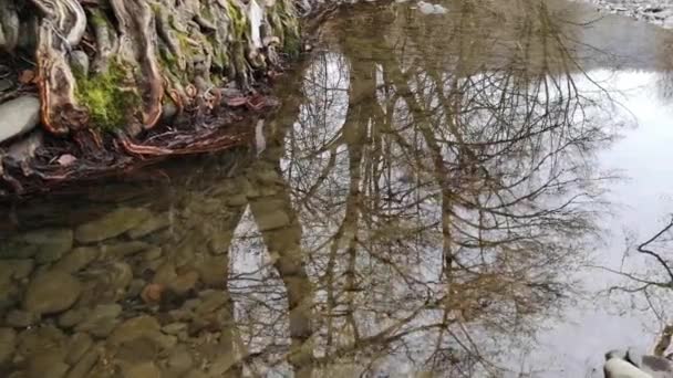 Чистая Вода Горной Реки Зимой — стоковое видео