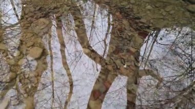 Kışın bir dağ nehrinin berrak suları