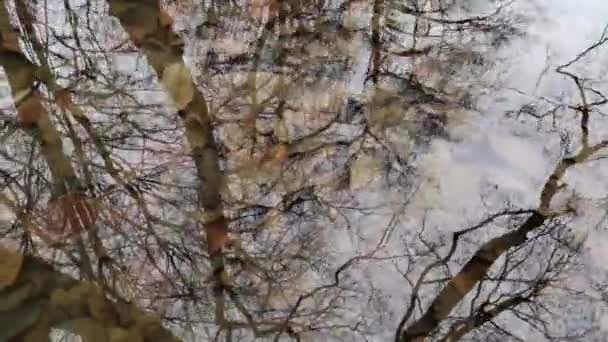 Helder Water Van Een Berg Rivier Winter — Stockvideo