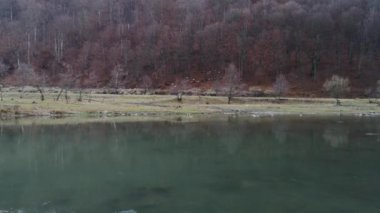 Dağ ormanlarından bir koyun sürüsü iniyor.