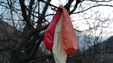 Ağaçta sönmüş balonlar