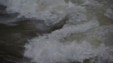 Karpat Dağları 'nda akan dağ nehri