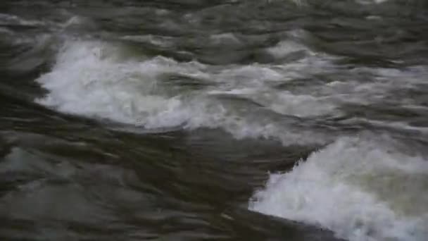 Río Montaña Que Fluye Las Montañas Cárpatos — Vídeos de Stock