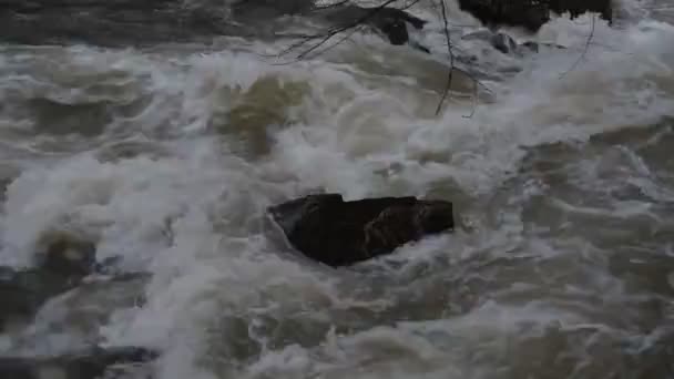 Fiume Montagna Che Scorre Nelle Montagne Dei Carpazi — Video Stock