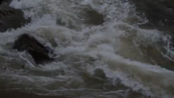 Río Montaña Que Fluye Las Montañas Cárpatos — Vídeos de Stock