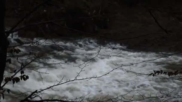 Río Montaña Que Fluye Las Montañas Cárpatos — Vídeo de stock