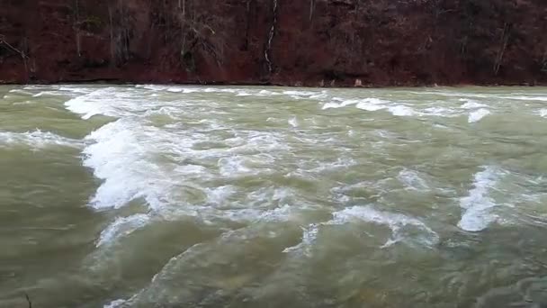 Río Montaña Que Fluye Las Montañas Cárpatos — Vídeos de Stock