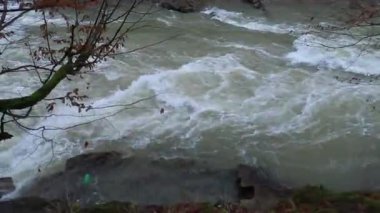 Karpat Dağları 'nda akan dağ nehri