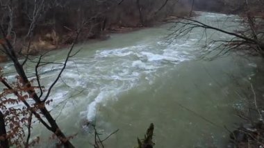 Karpat Dağları 'nda akan dağ nehri