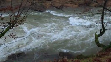 Karpat Dağları 'nda akan dağ nehri