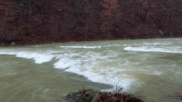 Rivière Montagne Qui Coule Dans Les Carpates — Video