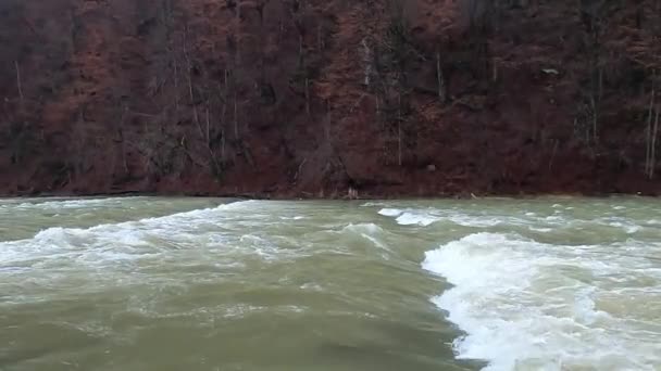 Río Montaña Que Fluye Las Montañas Cárpatos — Vídeos de Stock