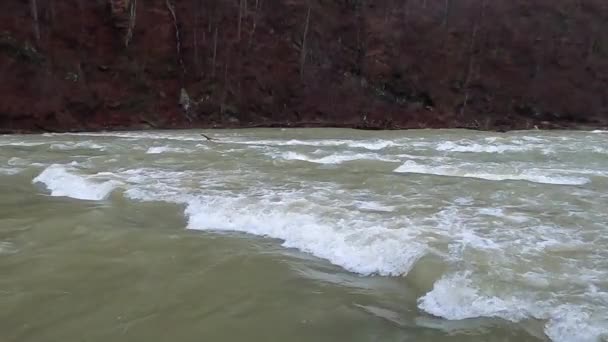 Full Flowing Mountain River Carpathian Mountains — Stock Video