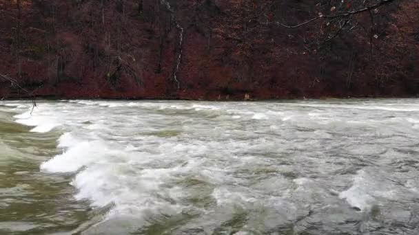 Plně Tekoucí Horská Řeka Karpatech — Stock video