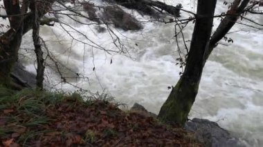 Karpat Dağları 'nda akan dağ nehri