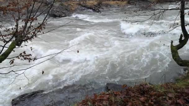 Fiume Montagna Che Scorre Nelle Montagne Dei Carpazi — Video Stock