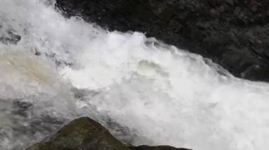 Dağ ormanında şelale