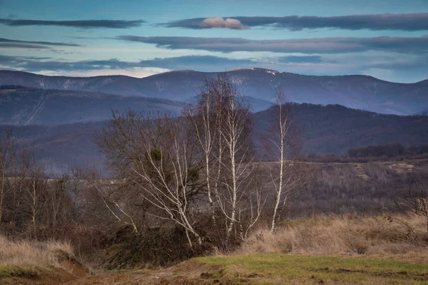 Paysage Rural Dans Les Hautes Terres Hiver — Photo