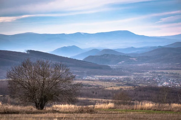 Peisaj Rural Munți Timpul Iernii — Fotografie, imagine de stoc