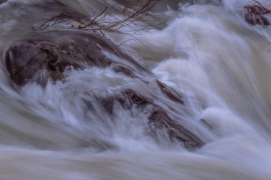Karpat Dağları 'nda akan dağ nehri
