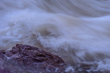 Karpat Dağları 'nda akan dağ nehri
