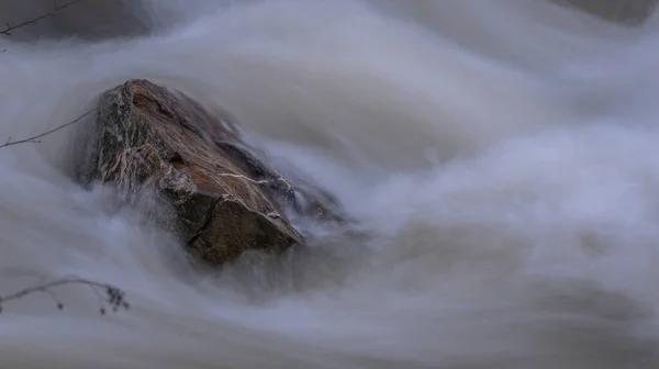 Karpat Dağları Nda Akan Dağ Nehri — Stok fotoğraf