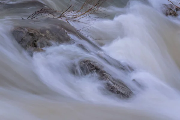 Rivière Montagne Qui Coule Dans Les Carpates — Photo