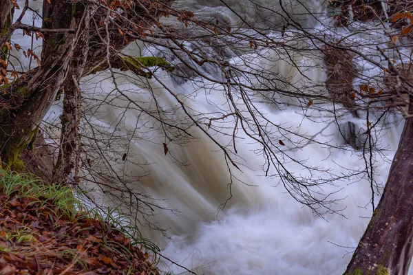 Fiume Montagna Che Scorre Nelle Montagne Dei Carpazi — Foto Stock