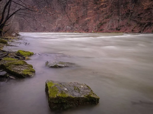 Full Flowing Mountain River Carpathian Mountains — Stock Photo, Image